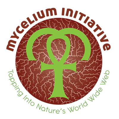 Mycelium Initiative logo